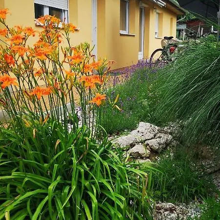 Abt Szemes Balatonszemes